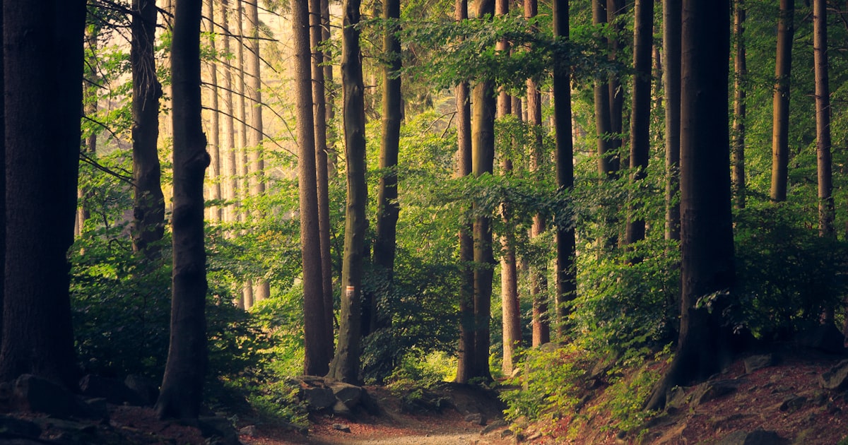 Tourisme durable et énergie verte en Suisse